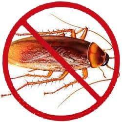 Pest control nairobi services