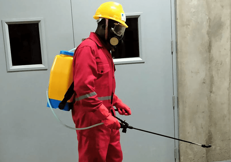 cockroach control Nairobi