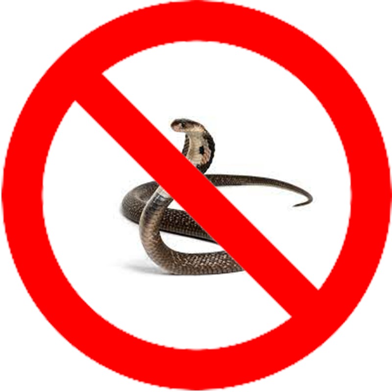 Pest control nairobi