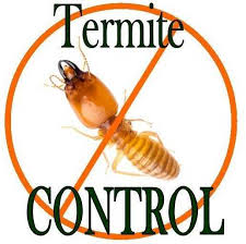 Pest control nairobi services