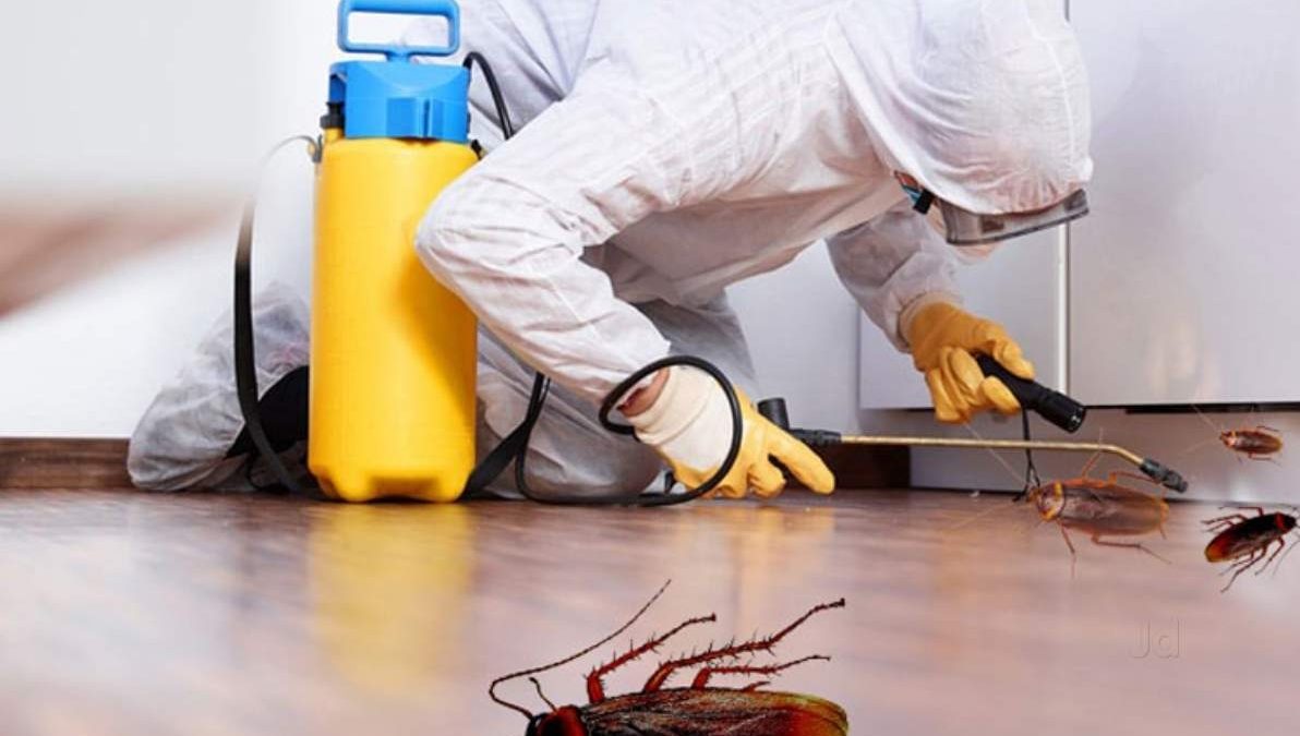 cockroach control Nairobi services