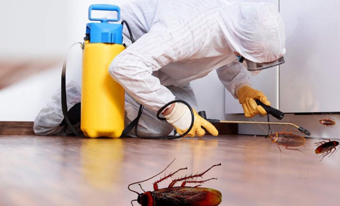 cockroach control Nairobi services